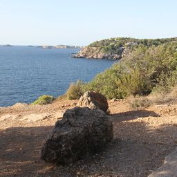 2016-10-16 08.53.13.jpg